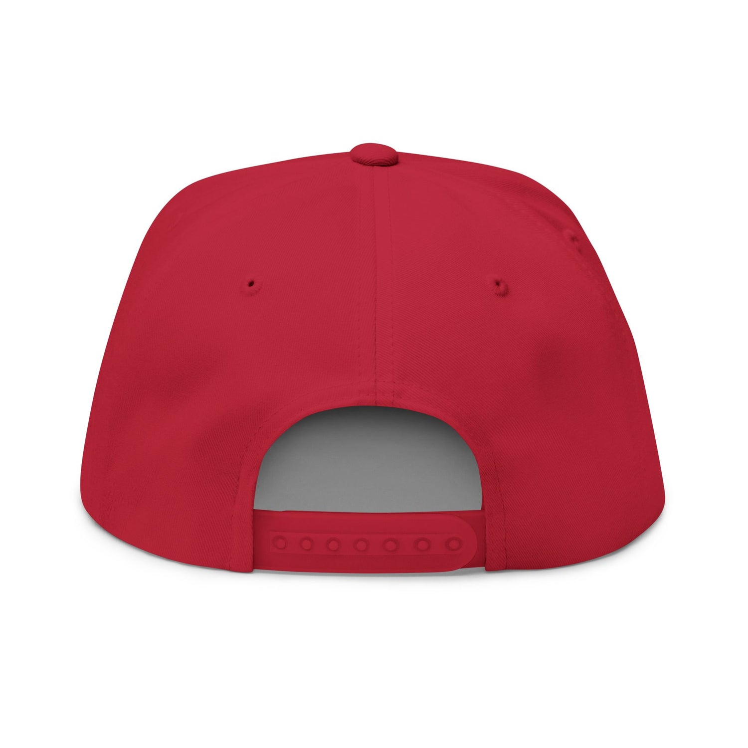 Don't Mess With Sea Turtles Embroidered Flat Bill Cap