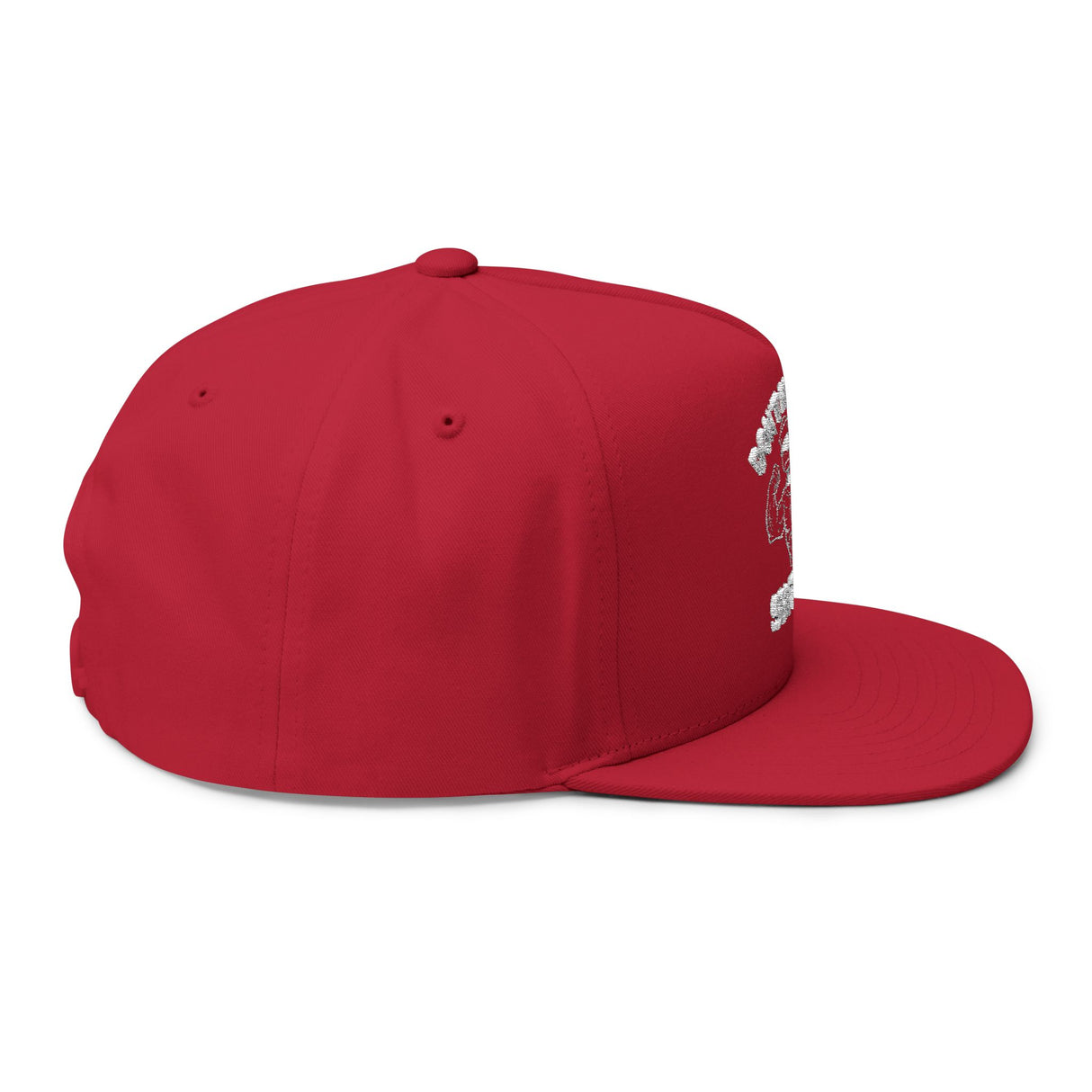 Don't Mess With Sea Turtles Embroidered Flat Bill Cap