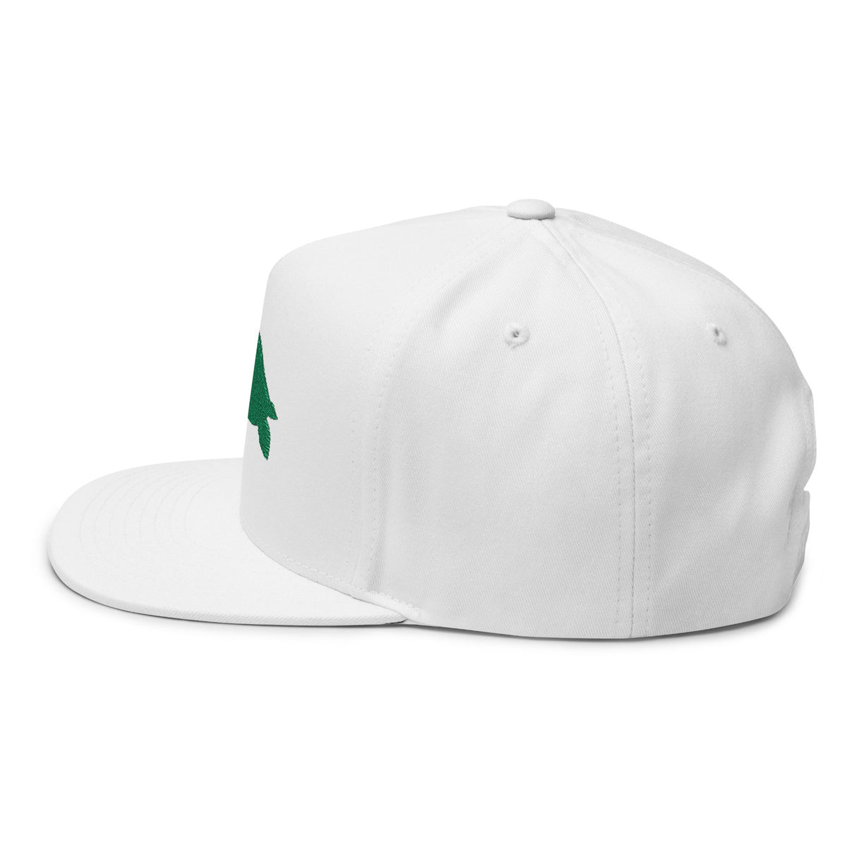 Sea Turtle Profile Embroidered Flat Bill Cap