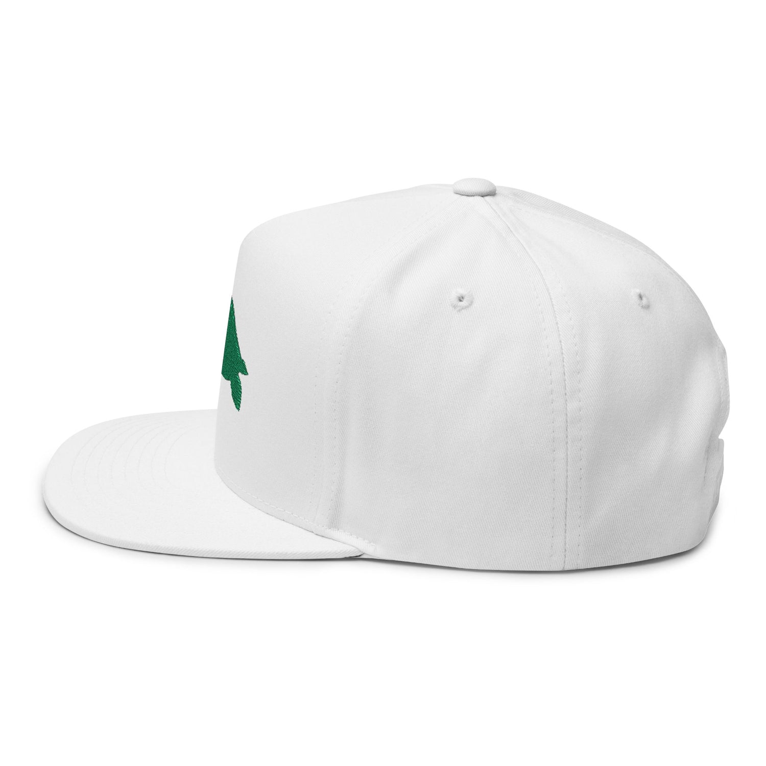 Sea Turtle Profile Embroidered Flat Bill Cap