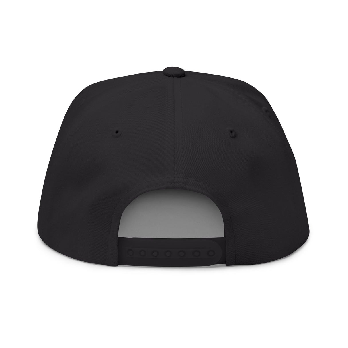 Don't Mess With Sea Turtles Embroidered Flat Bill Cap