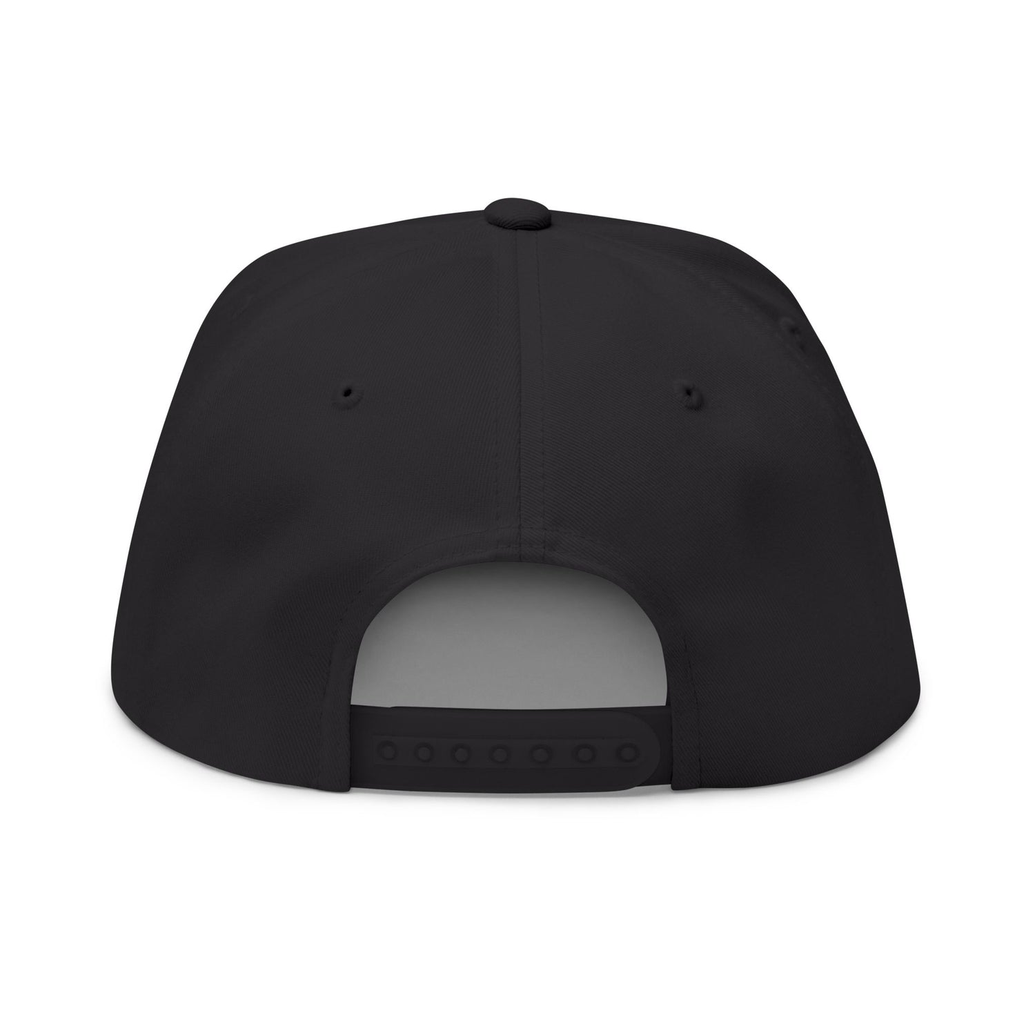 Don't Mess With Sea Turtles Embroidered Flat Bill Cap