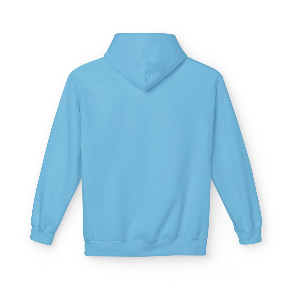 Keep It Flat Dark Safe Sea Turtle Hoodie - 7 Colors