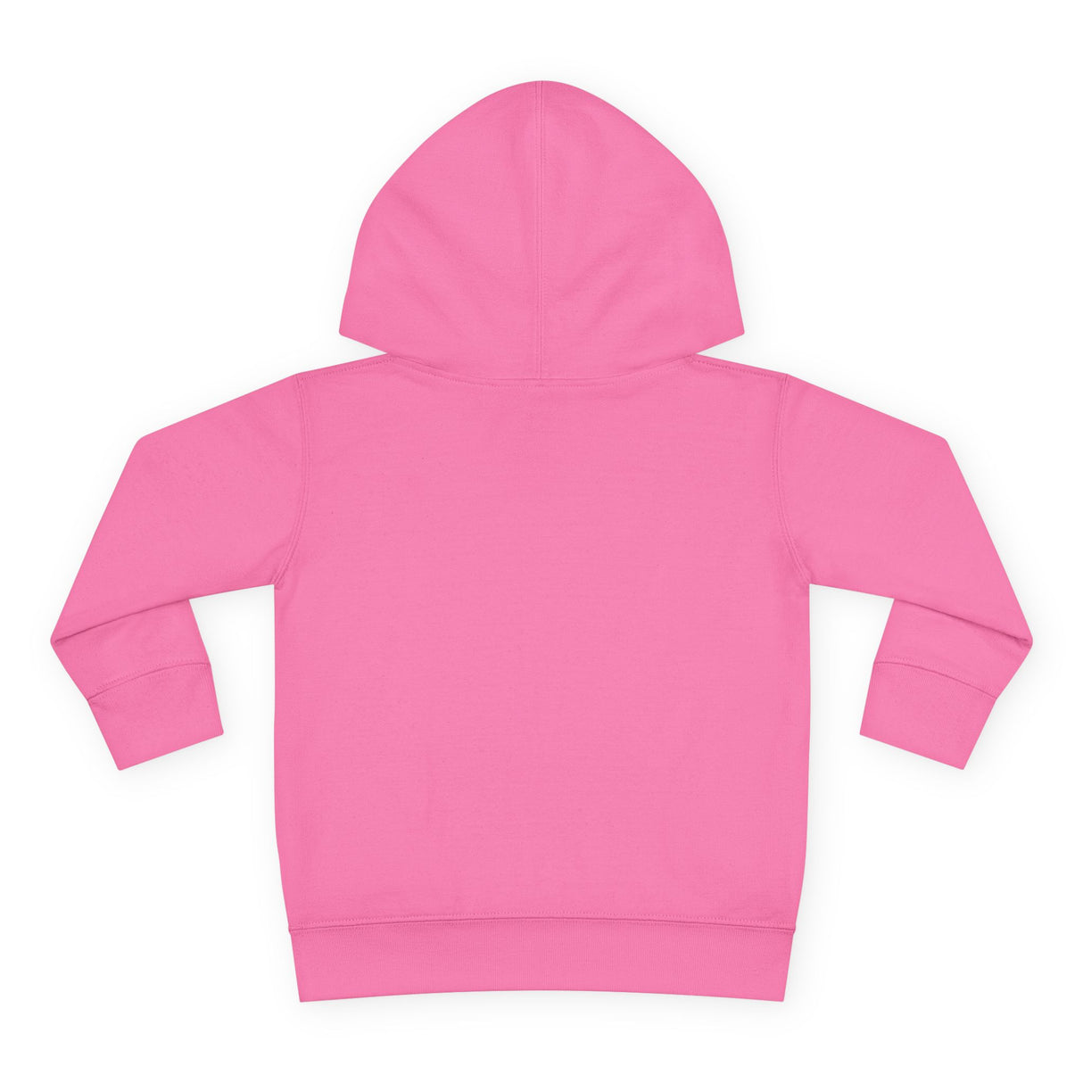 Toddler Gliding Sea Turtle Hooded Sweatshirt - 4 Colors