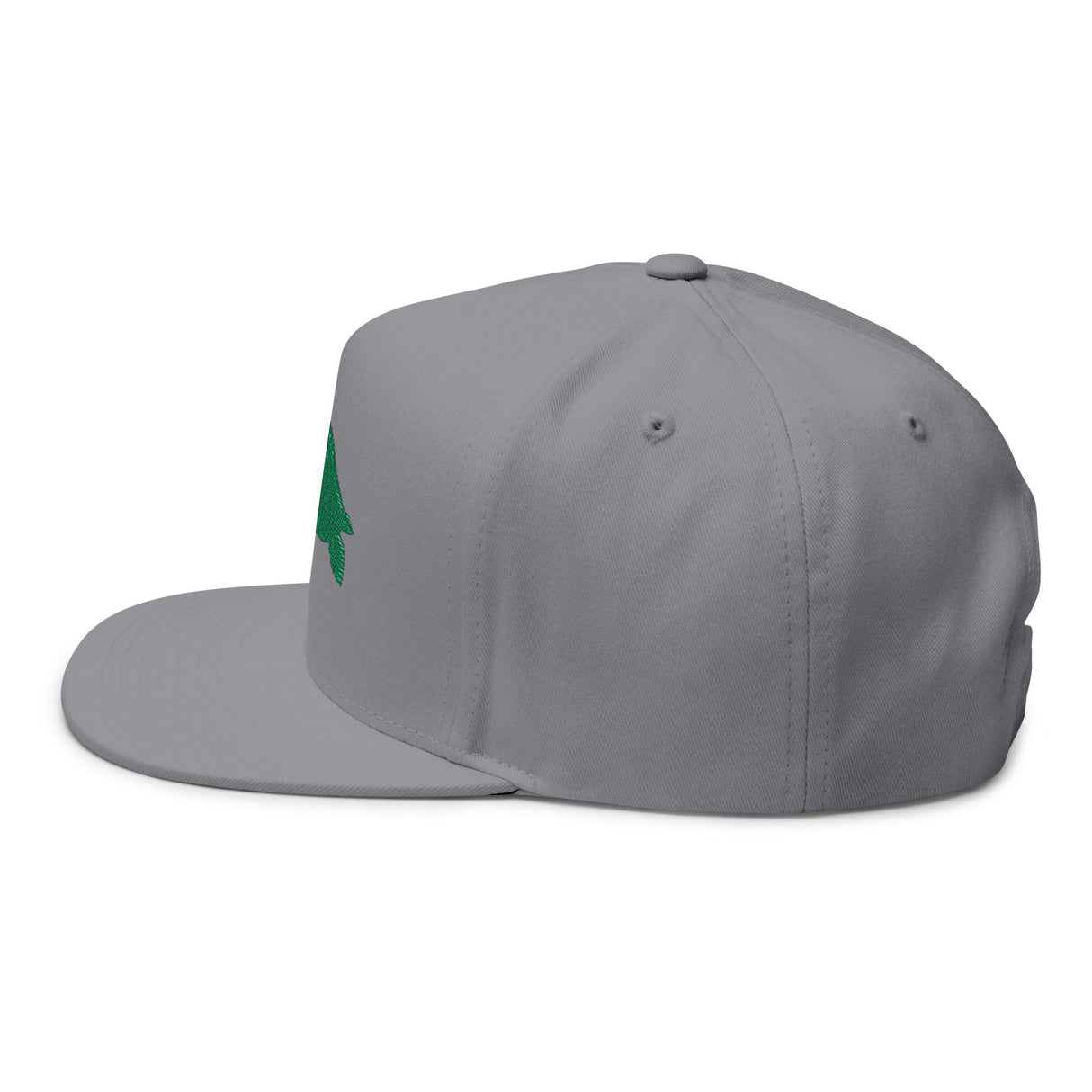 Sea Turtle Profile Embroidered Flat Bill Cap