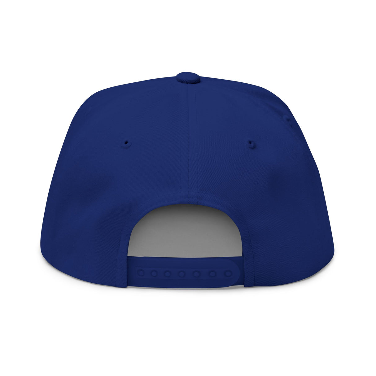 Don't Mess With Sea Turtles Embroidered Flat Bill Cap