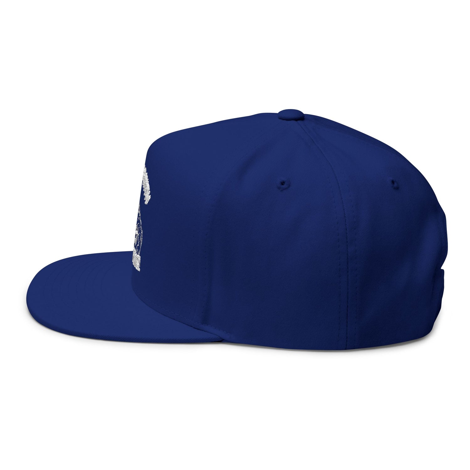 Don't Mess With Sea Turtles Embroidered Flat Bill Cap