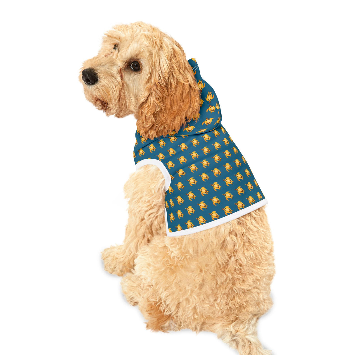Blue and Yellow Sea Turtle Pet Hoodie