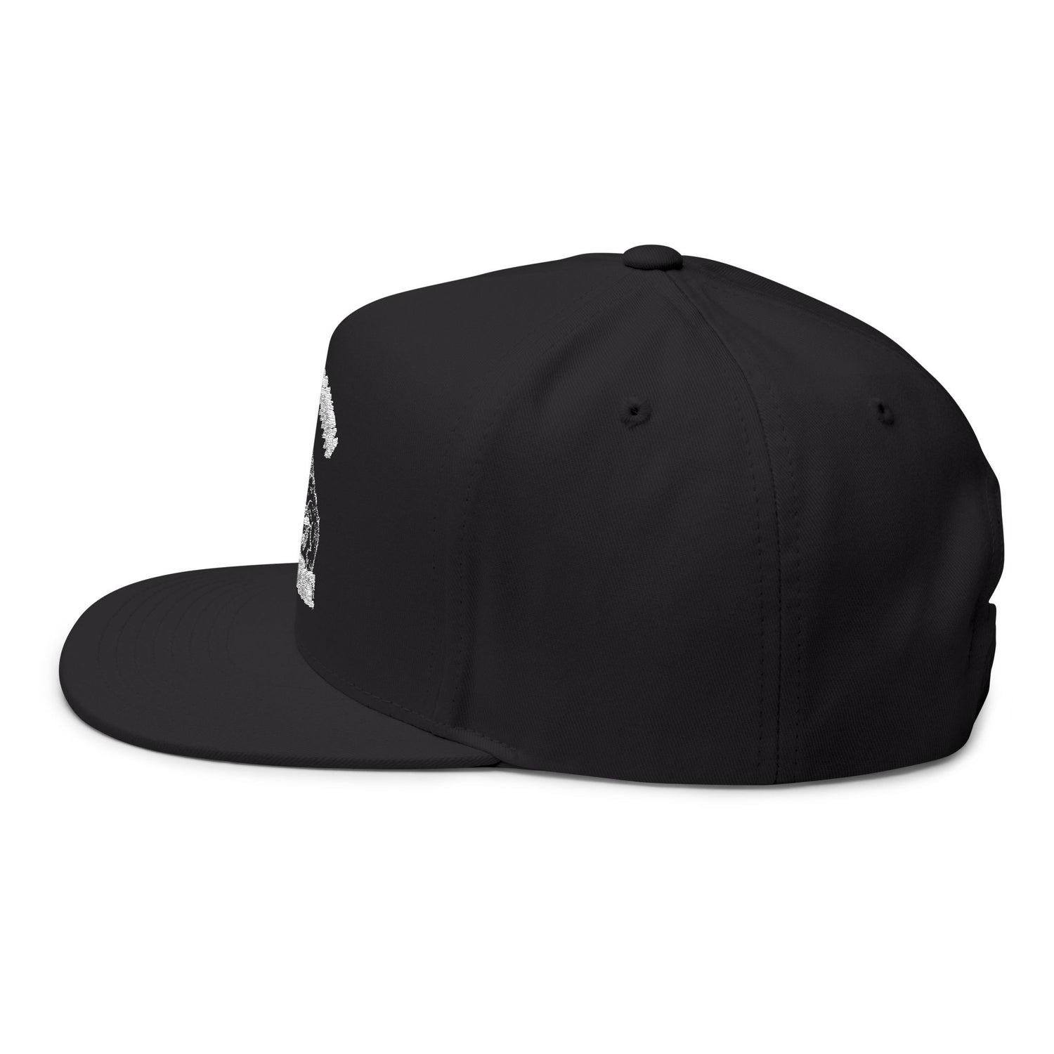 Don't Mess With Sea Turtles Embroidered Flat Bill Cap