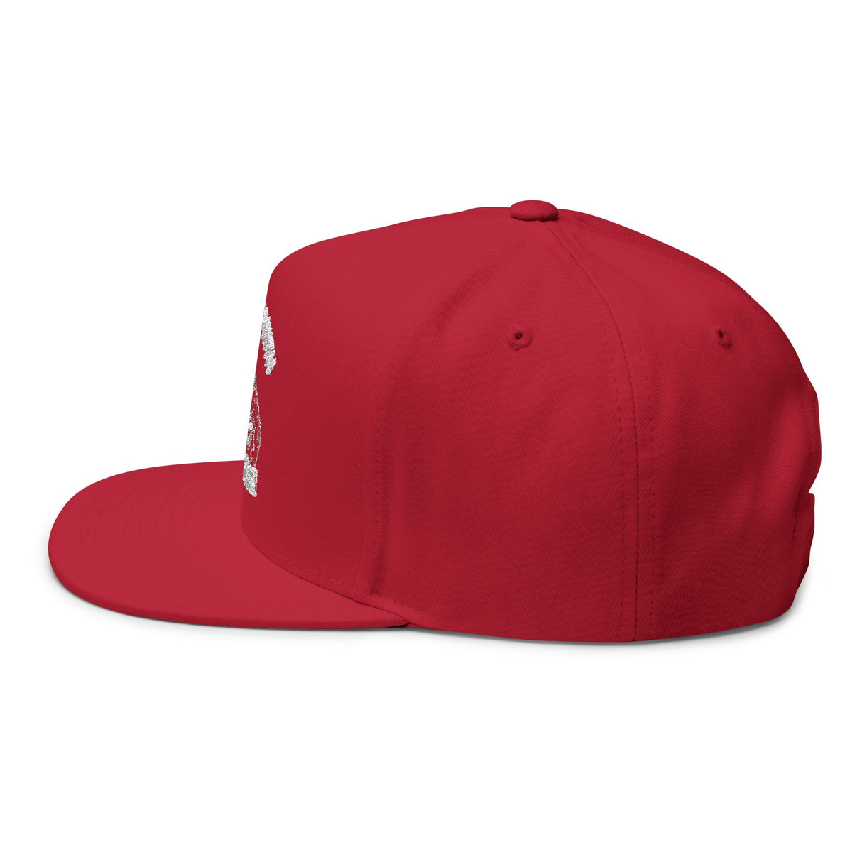 Don't Mess With Sea Turtles Embroidered Flat Bill Cap
