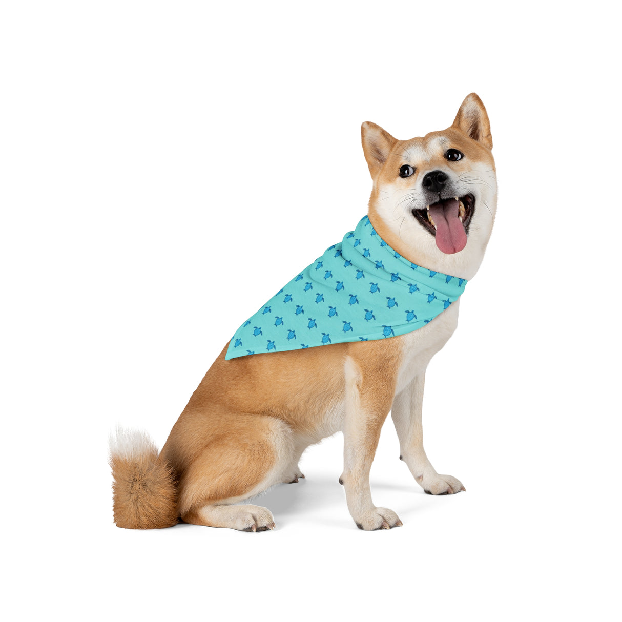 Stylish Blue Sea Turtle Pet Bandana for Dogs and Cats.