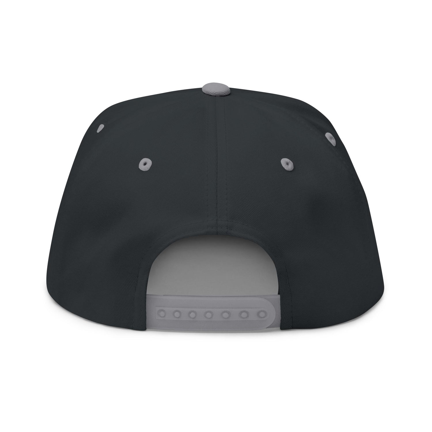 Don't Mess With Sea Turtles Embroidered Flat Bill Cap