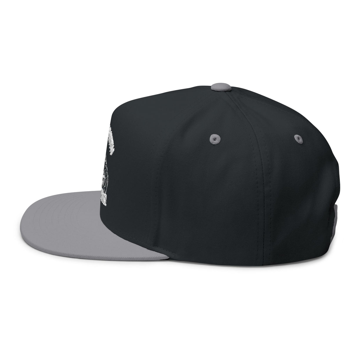 Don't Mess With Sea Turtles Embroidered Flat Bill Cap
