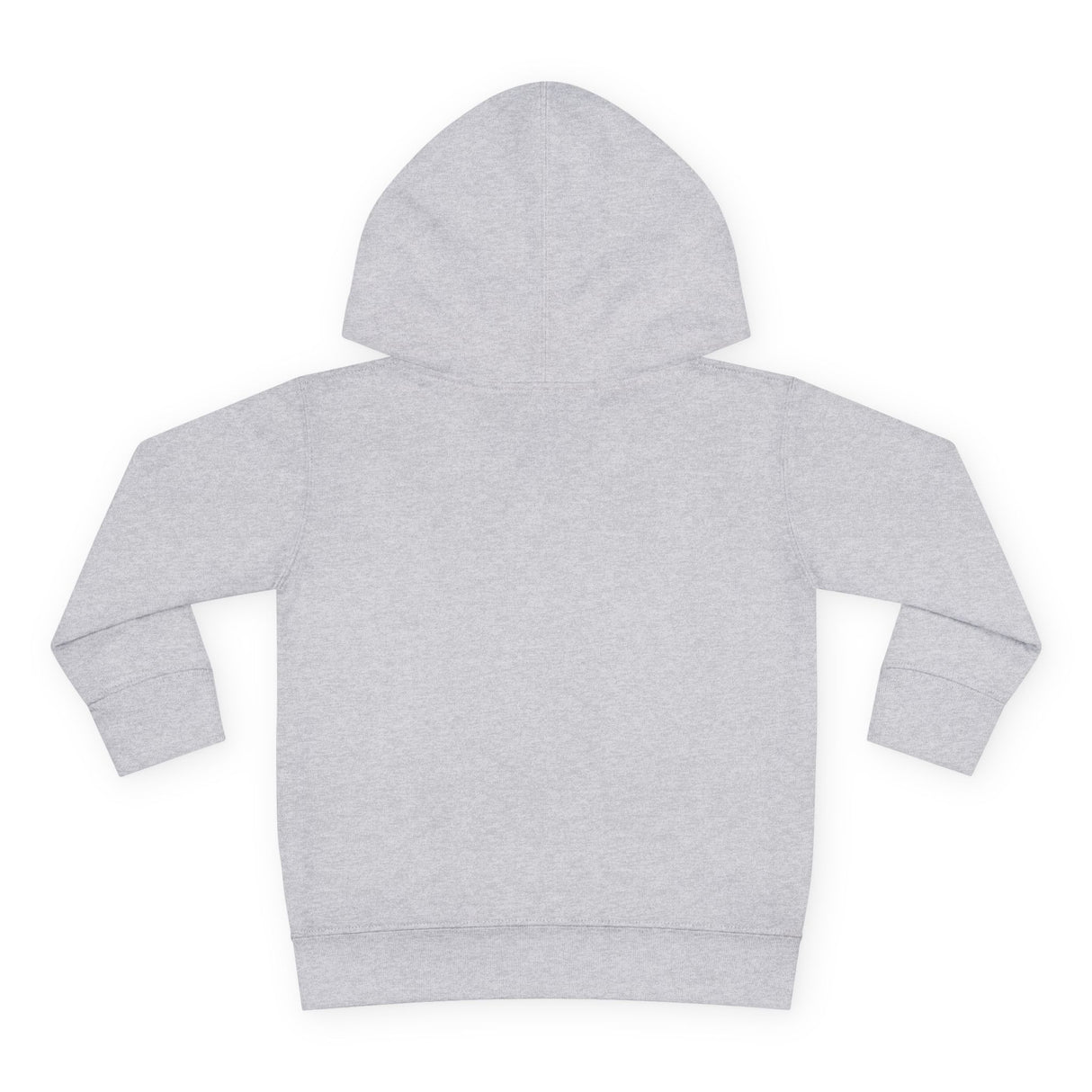 Toddler Gliding Sea Turtle Hooded Sweatshirt - 4 Colors