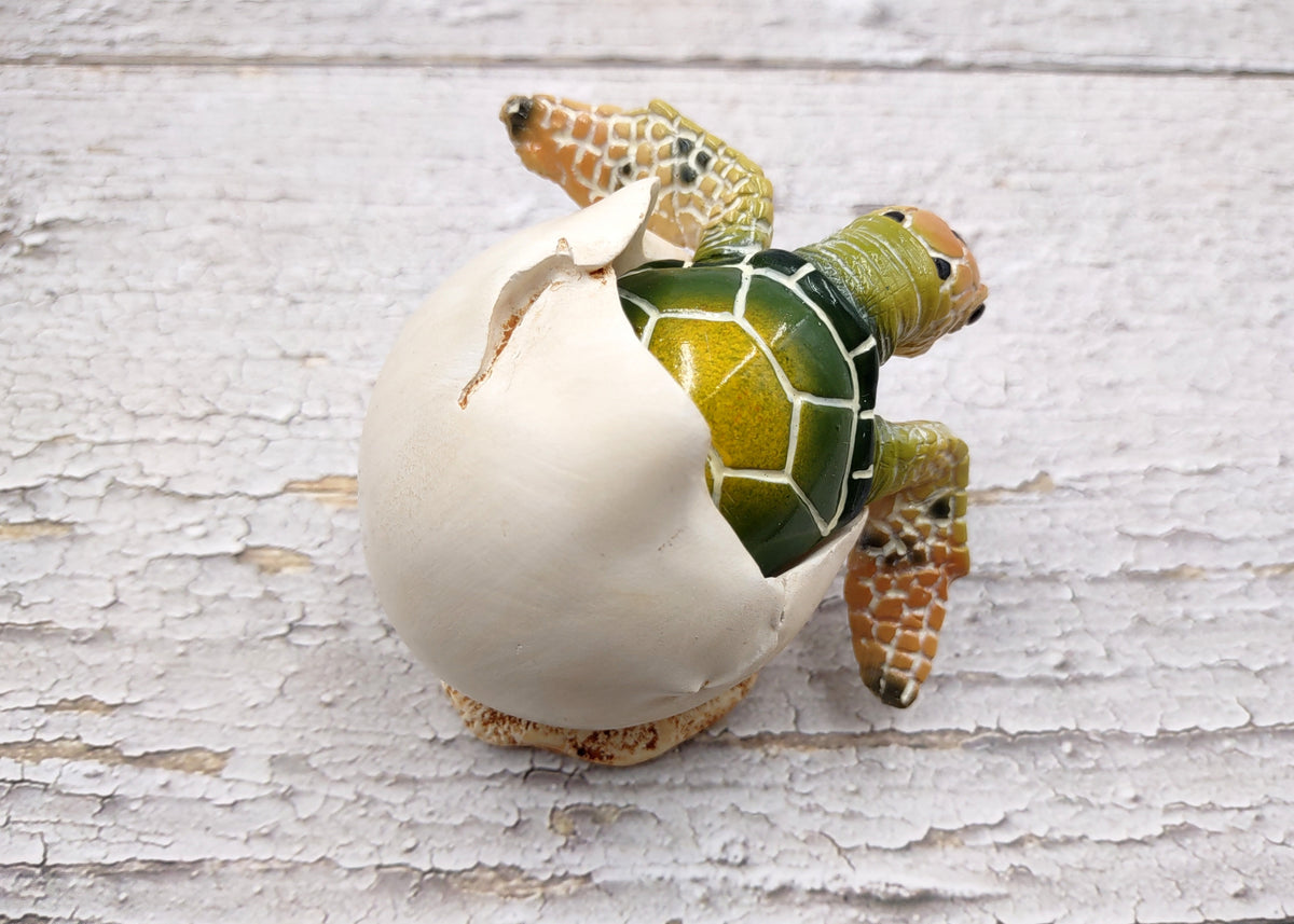 Green Baby Sea Turtle Hatching Figure (1 turtle approx. 3+ inches) Green Painted Resin Baby Turtle Egg Figure for coastal home décor!