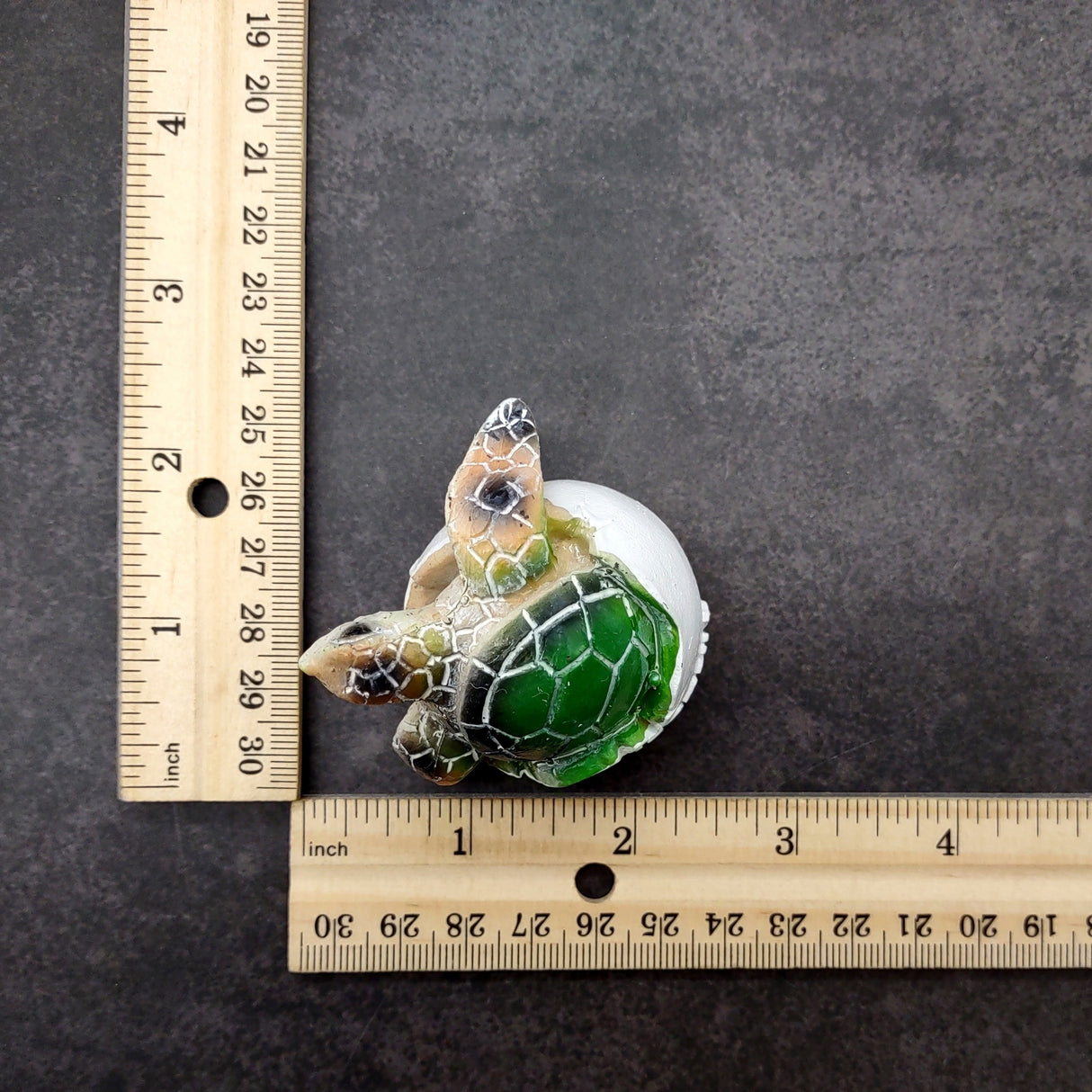 Sea Turtle Egg Hatchling Green Shell (1 sea turtle approx. 2+ inches) Green Painted Resin Baby Sea Turtle Egg for coastal home décor!