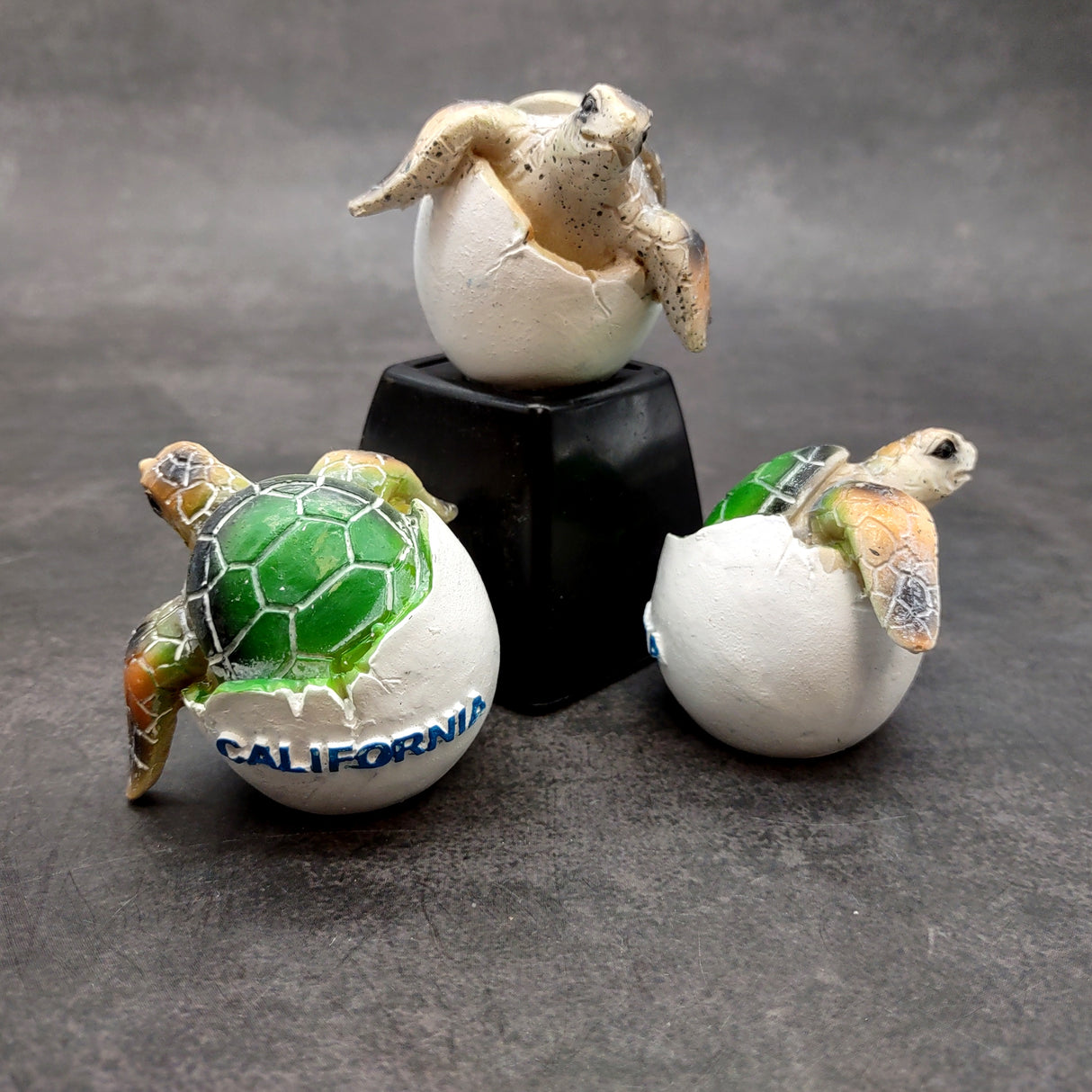 Sea Turtle Egg Hatchling Green Shell (1 sea turtle approx. 2+ inches) Green Painted Resin Baby Sea Turtle Egg for coastal home décor!