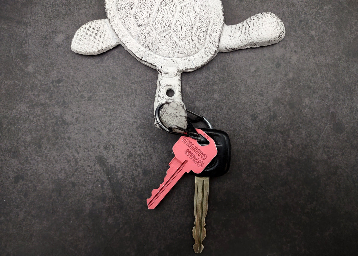 Cast Iron Antique White Sea Turtle Wall Hook (1 cast iron hook approx. 6+ inches) Functional Sea Turtle Wall Hanger for coastal home decor!
