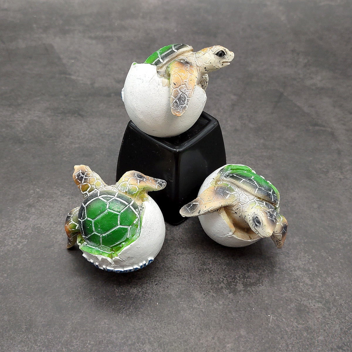 Sea Turtle Egg Hatchling Green Shell (1 sea turtle approx. 2+ inches) Green Painted Resin Baby Sea Turtle Egg for coastal home décor!