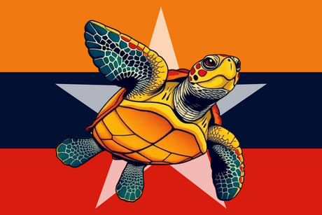 How Venezuela’s Political Crisis Impacts Sea Turtle Conservation