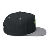 Green Sea Turtle Embroidered Flat Bill Cap