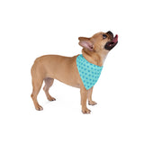 Stylish Blue Sea Turtle Pet Bandana for Dogs and Cats.