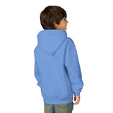 Youth Purple and Orange Sea Turtle Hoodie - 4 Colors