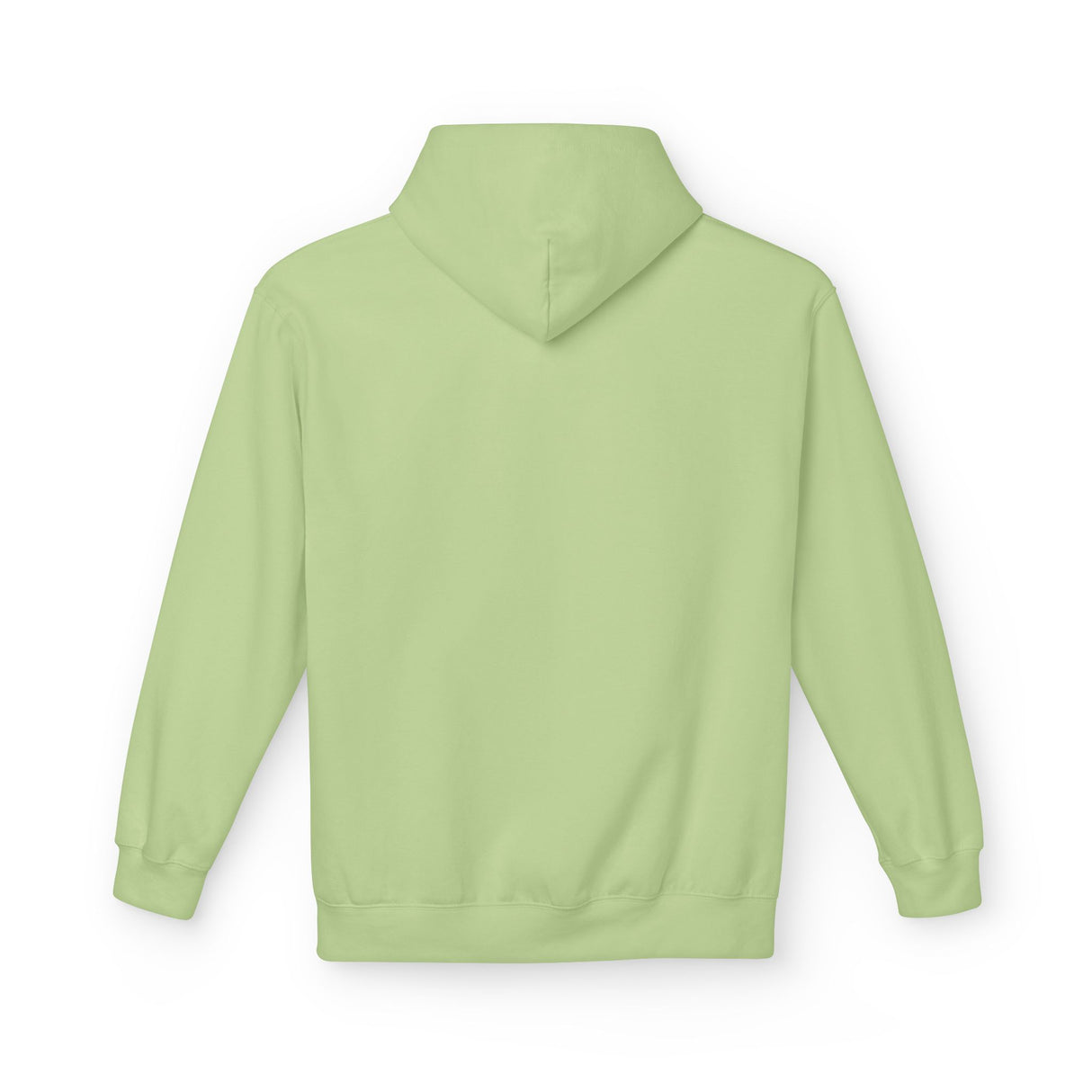Gliding Sea Turtle Hoodie - 6 Colors