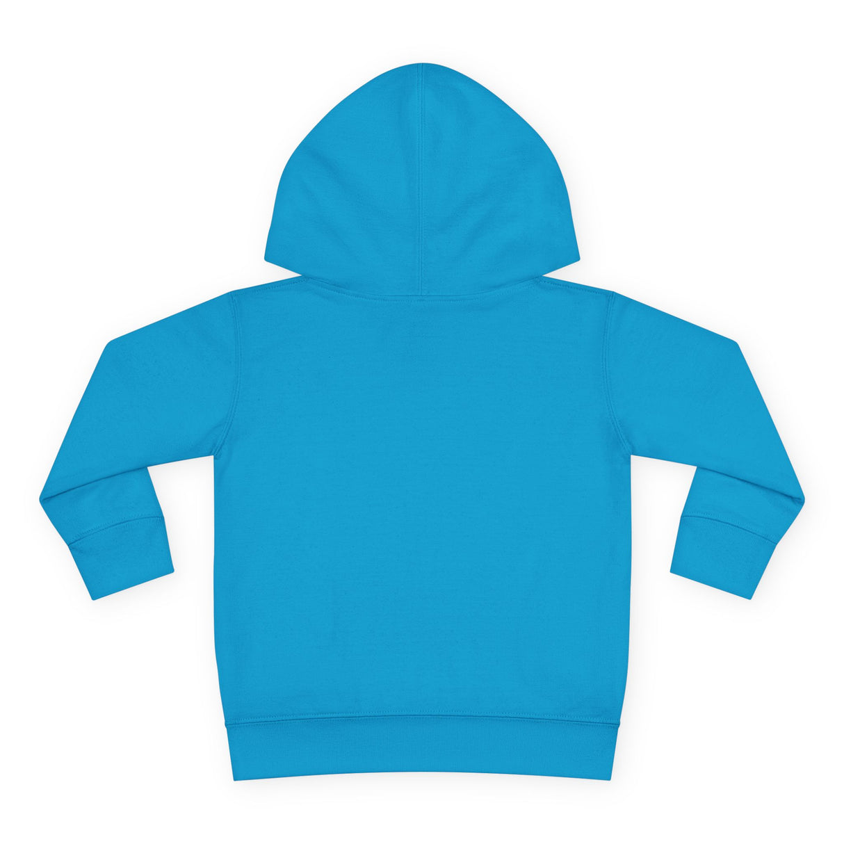 Toddler Gliding Sea Turtle Hooded Sweatshirt - 4 Colors