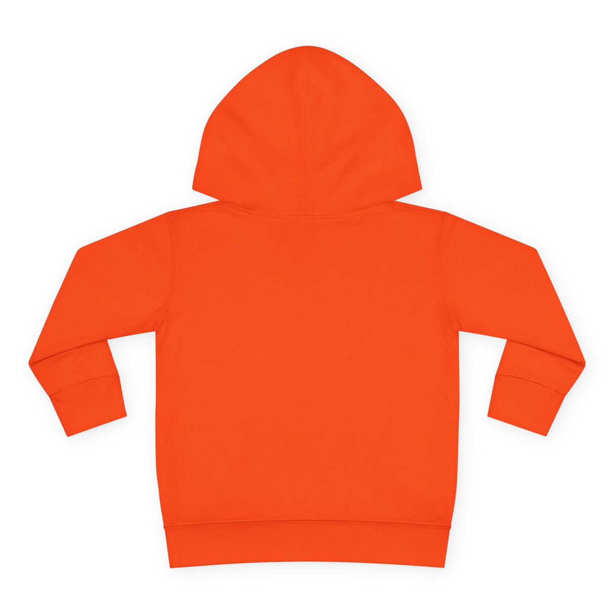Toddler Gliding Sea Turtle Hooded Sweatshirt - 4 Colors