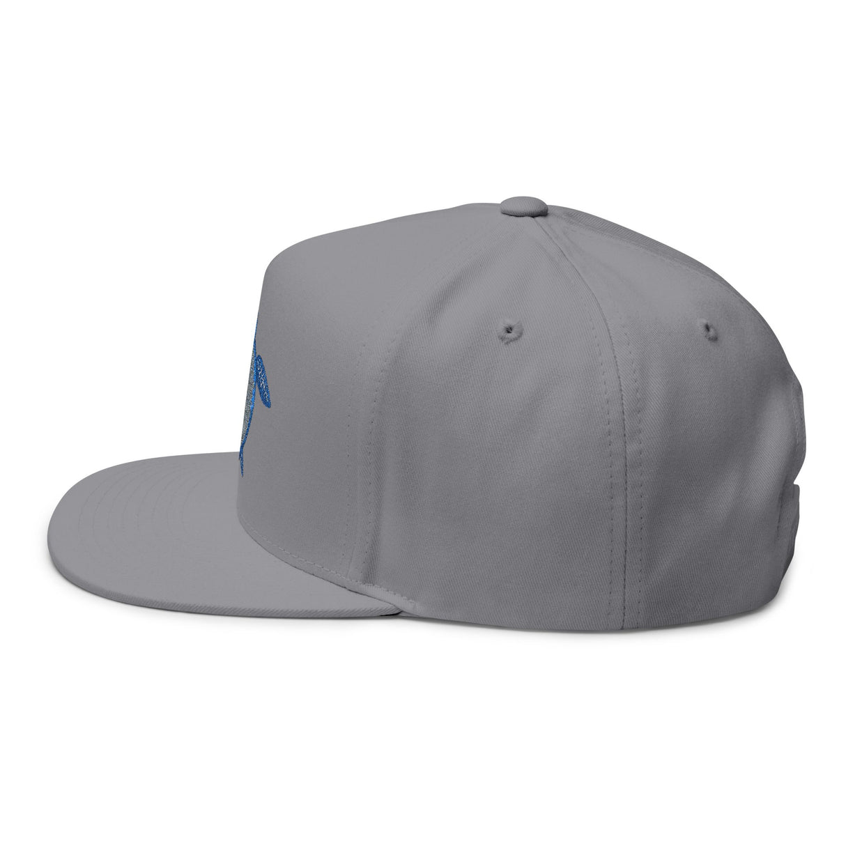 Blue Sea Turtle Profile Embroidered Flat Bill Cap