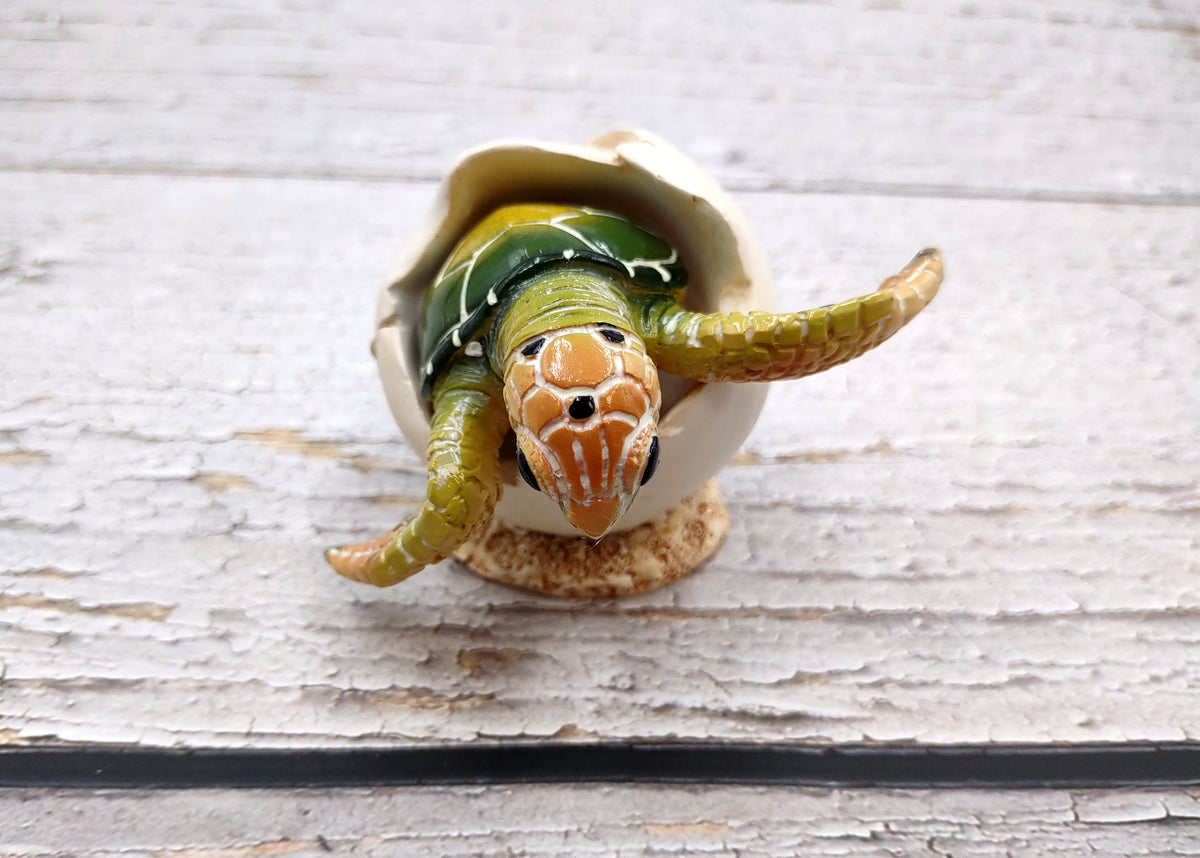 Green Baby Sea Turtle Hatching Figure (1 turtle approx. 3+ inches) Green Painted Resin Baby Turtle Egg Figure for coastal home décor!