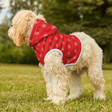 Red and Pink Sea Turtle Pet Hoodie