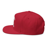 Don't Mess With Sea Turtles Embroidered Flat Bill Cap