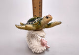 Green Sea Turtle Figurine on Coral Painted Resin (1 turtle approx. 5+ inches) Green Painted Resin Turtle Figure for coastal home décor!