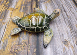 Green Sea Turtle Figurine Painted Resin (1 turtle approx. 5+ inches long) Green Painted Resin Sea Turtle Figure for coastal home decor!