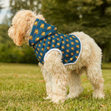 Blue and Yellow Sea Turtle Pet Hoodie