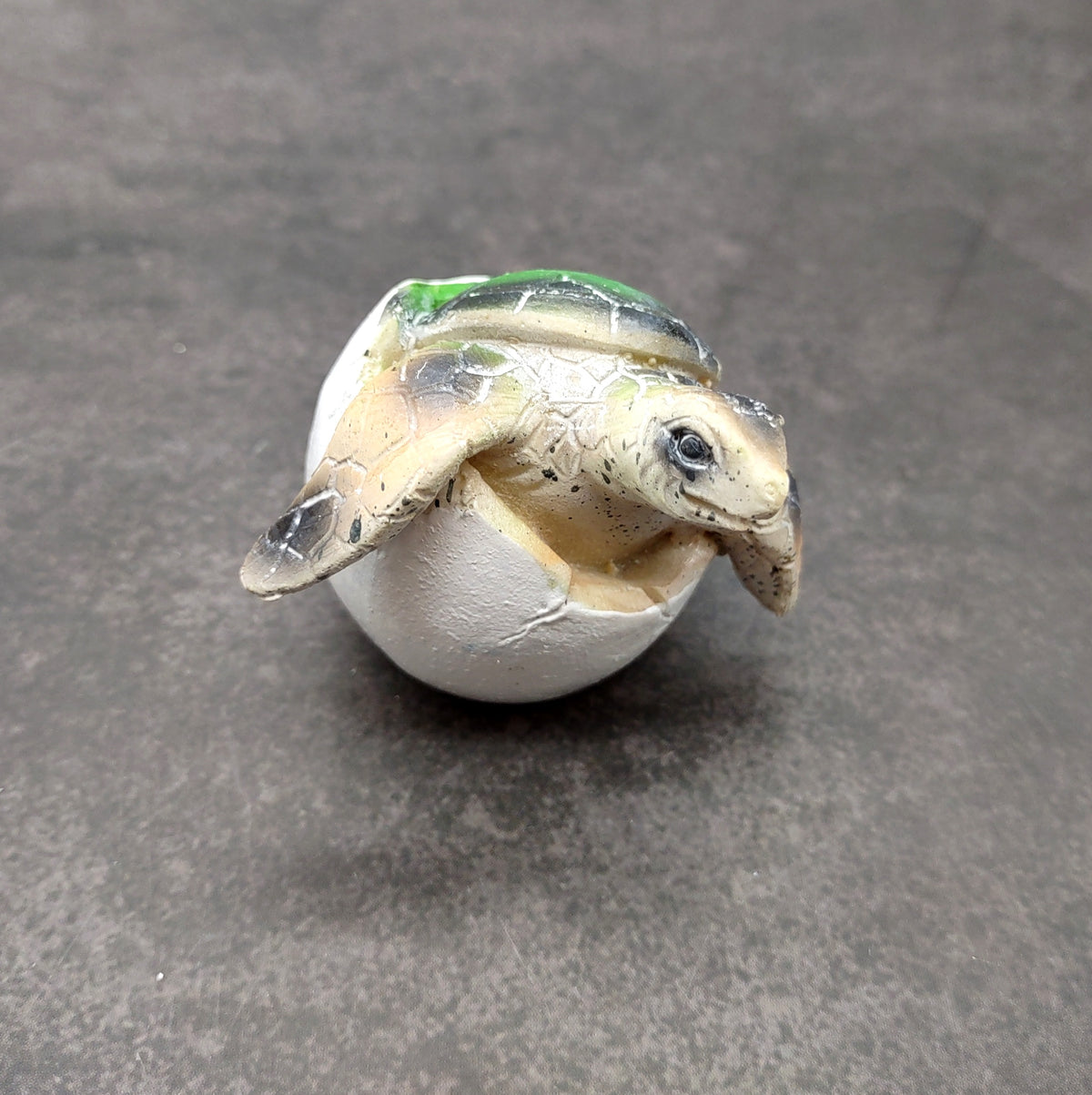 Sea Turtle Egg Hatchling Green Shell (1 sea turtle approx. 2+ inches) Green Painted Resin Baby Sea Turtle Egg for coastal home décor!