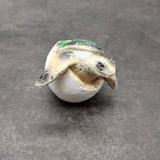 Sea Turtle Egg Hatchling Green Shell (1 sea turtle approx. 2+ inches) Green Painted Resin Baby Sea Turtle Egg for coastal home décor!