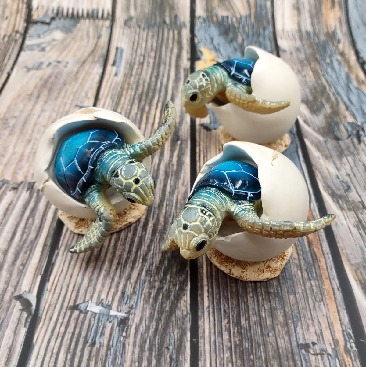 Blue Baby Sea Turtle Hatching Figure (1 turtle approx. 3+ inches) Blue Painted Resin Baby Turtle Egg Figure for coastal home décor!