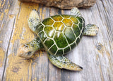 Green Sea Turtle Figurine Painted Resin (1 turtle approx. 5+ inches long) Green Painted Resin Sea Turtle Figure for coastal home decor!