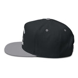 Don't Mess With Sea Turtles Embroidered Flat Bill Cap