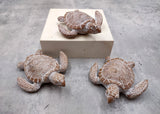 Brown Sea Turtle Figurine Weathered Resin (1 turtle approx. 3.75+ inches) Brown White Sea Turtle Statue for beach home decor & display!