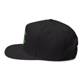 Green Sea Turtle Embroidered Flat Bill Cap