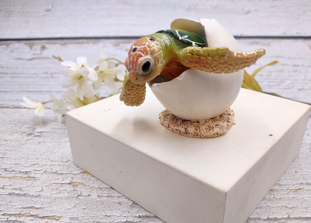 Green Baby Sea Turtle Hatching Figure (1 turtle approx. 3+ inches) Green Painted Resin Baby Turtle Egg Figure for coastal home décor!
