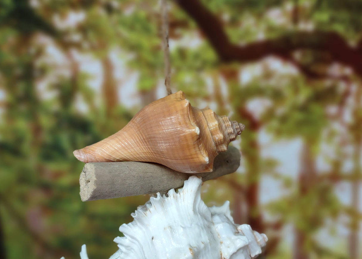 Hanging Nautical Garland Blue Glass Float Sea Turtle Shells (1 Garland approx. 20 x 6 inches) Shells Float Turtle Mobile for beachy décor!