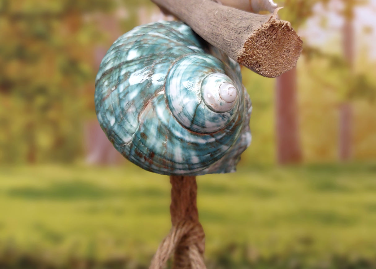 Hanging Nautical Garland Blue Glass Float Sea Turtle Shells (1 Garland approx. 20 x 6 inches) Shells Float Turtle Mobile for beachy décor!