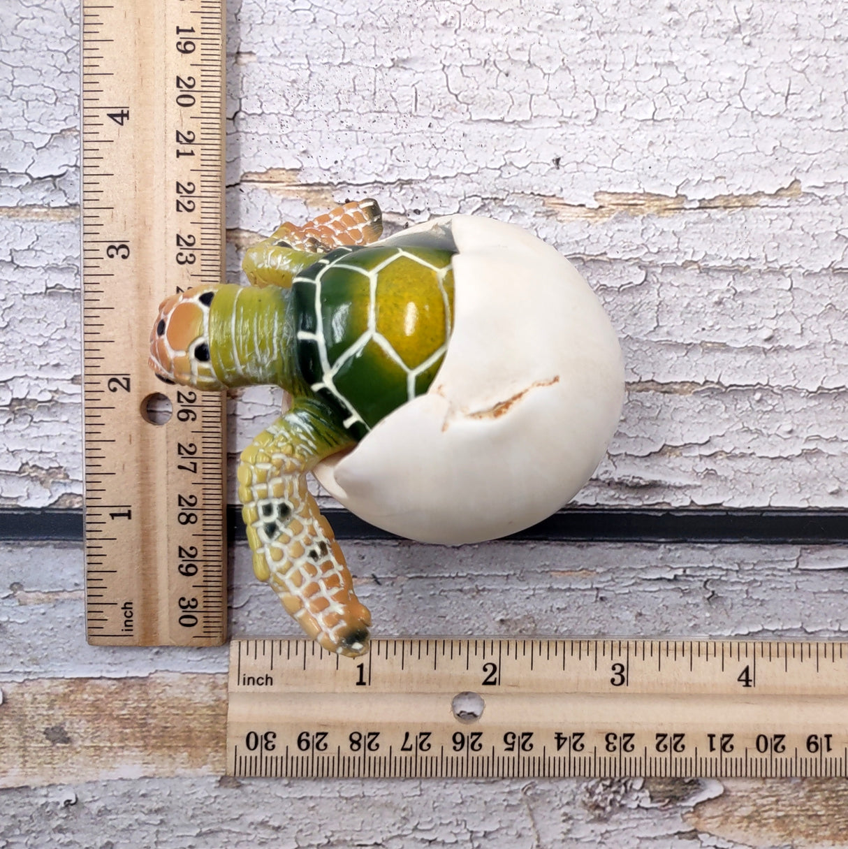 Green Baby Sea Turtle Hatching Figure (1 turtle approx. 3+ inches) Green Painted Resin Baby Turtle Egg Figure for coastal home décor!