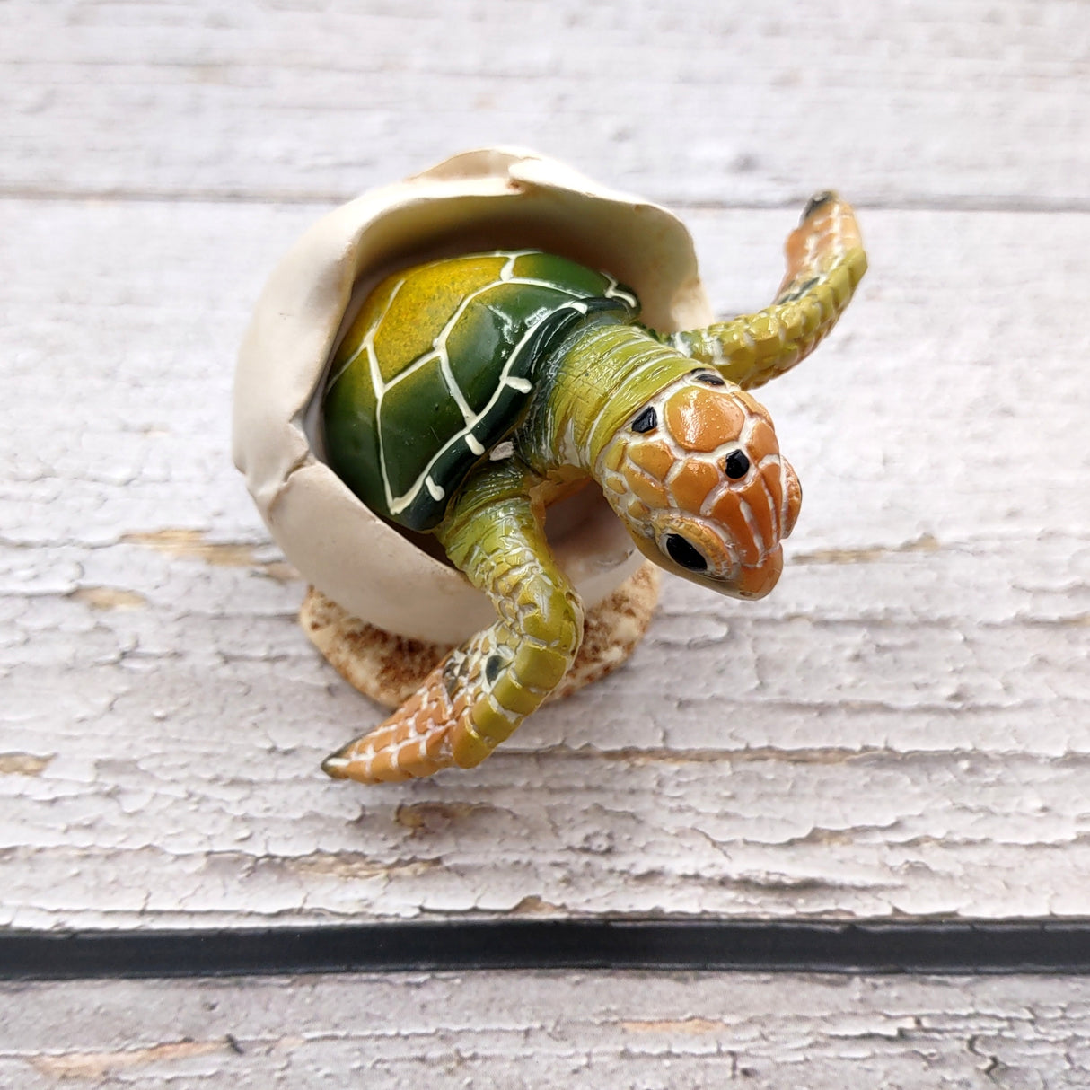 Green Baby Sea Turtle Hatching Figure (1 turtle approx. 3+ inches) Green Painted Resin Baby Turtle Egg Figure for coastal home décor!