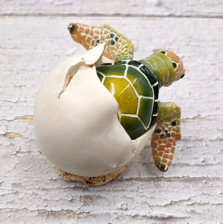 Green Baby Sea Turtle Hatching Figure (1 turtle approx. 3+ inches) Green Painted Resin Baby Turtle Egg Figure for coastal home décor!